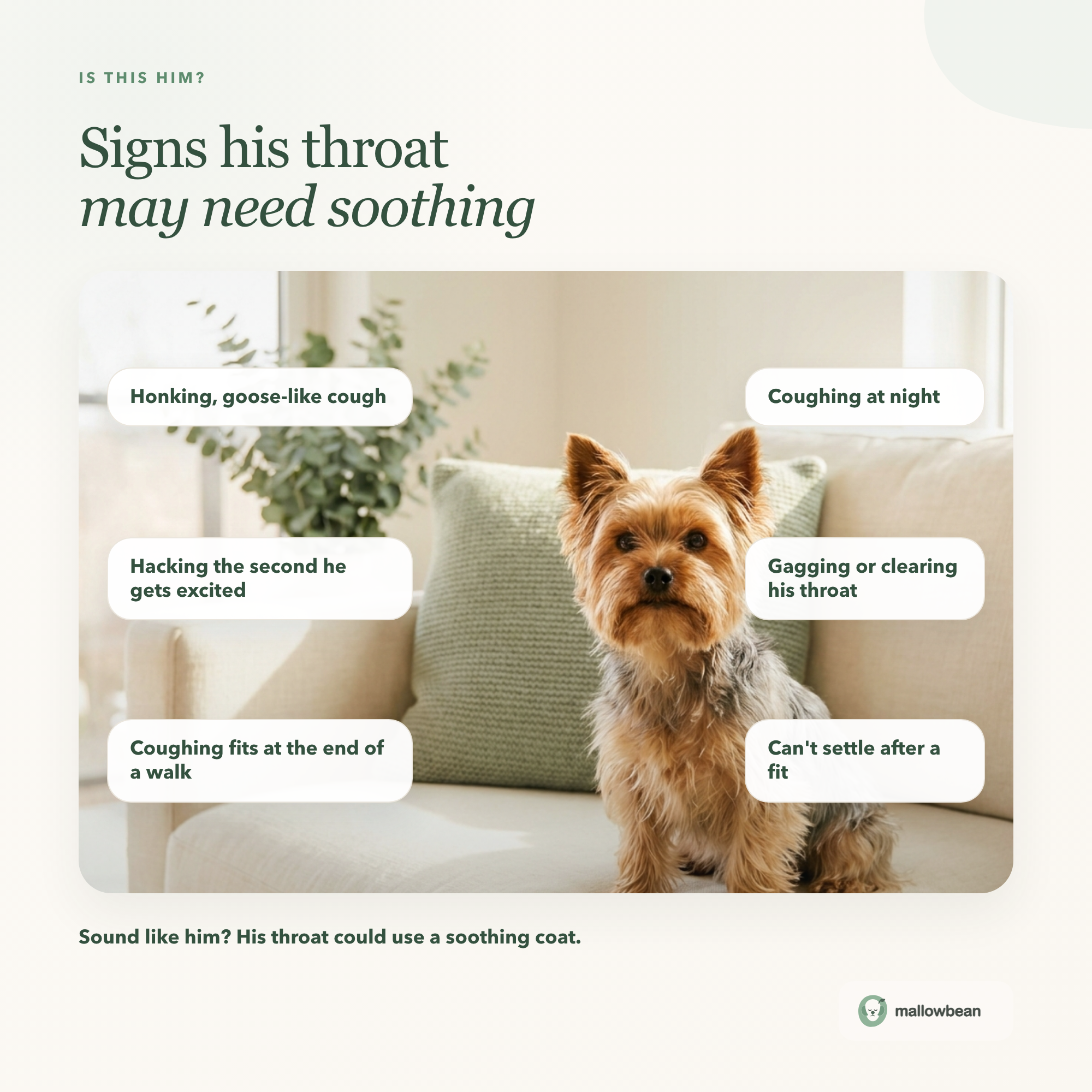 Mallowbean Herbal Throat & Cough Drops for Dogs