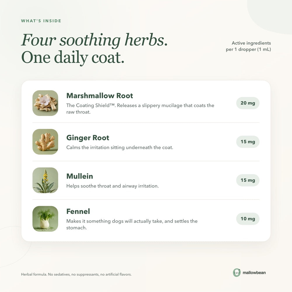 Mallowbean Herbal Throat & Cough Drops for Dogs