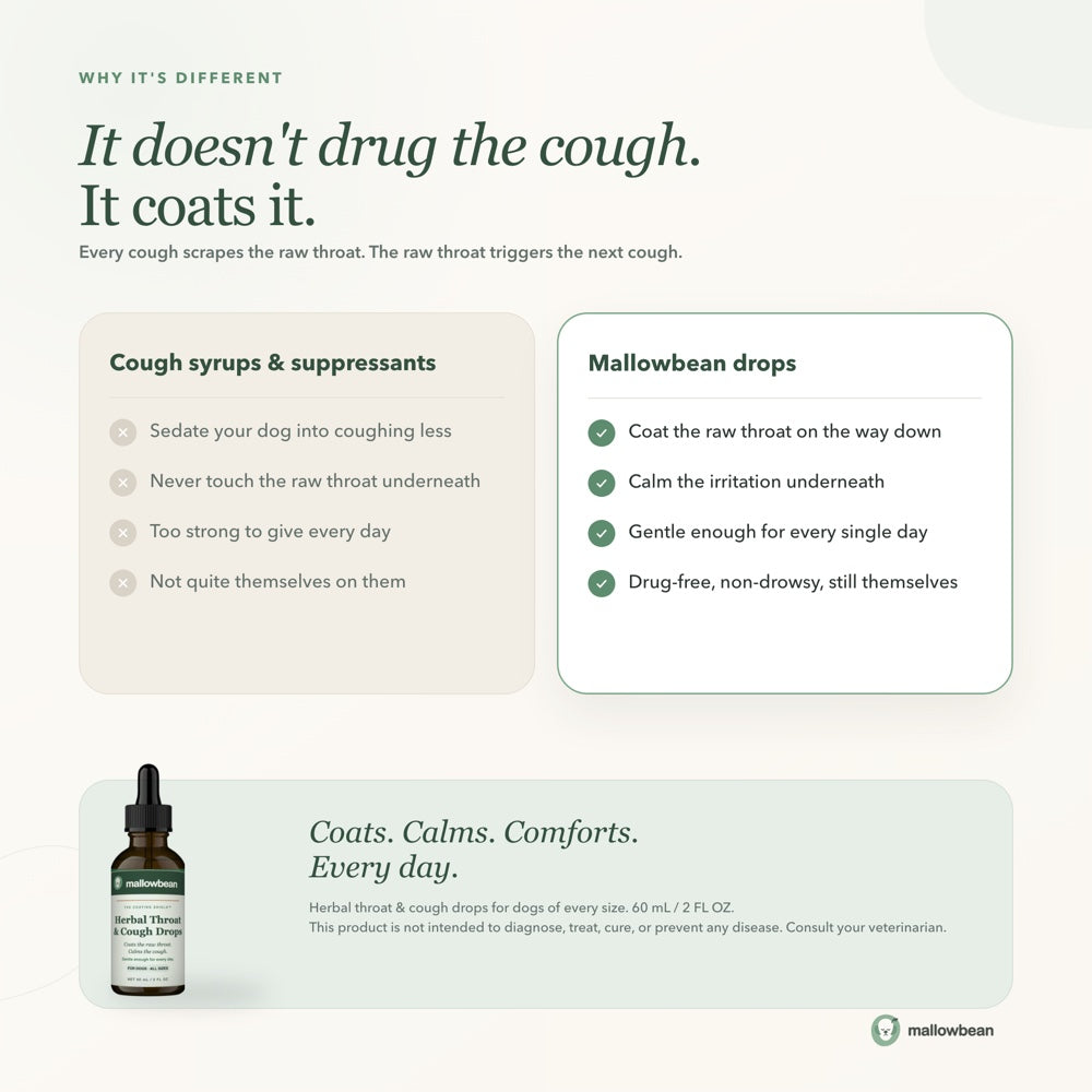 Mallowbean Herbal Throat & Cough Drops