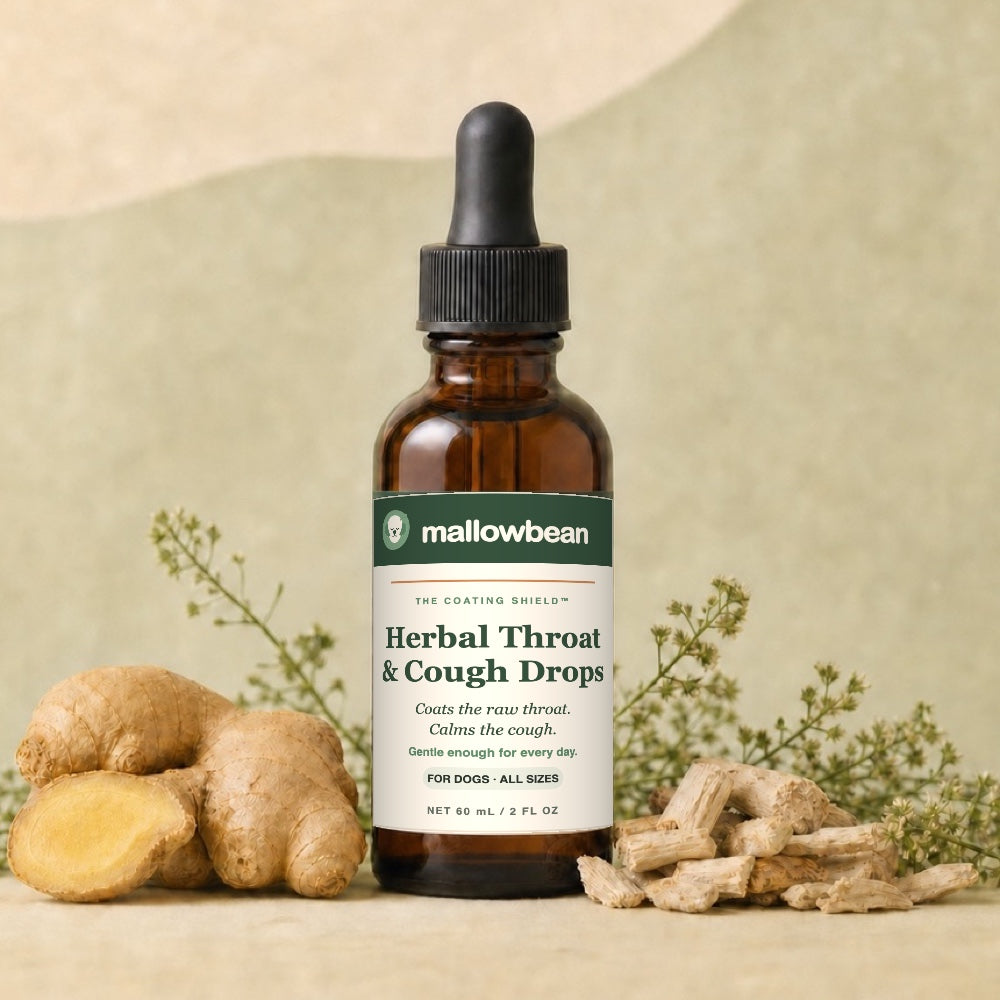 Mallowbean Herbal Throat & Cough Drops for Dogs